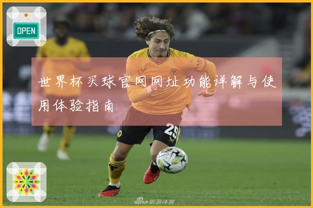 世界杯买球官网网址功能详解与使用体验指南