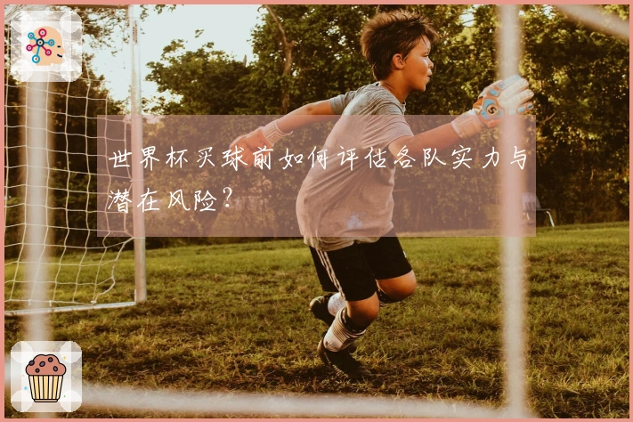 世界杯买球前如何评估各队实力与潜在风险？