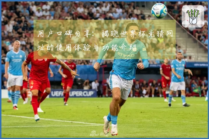 用户口碑分享：揭晓世界杯竞猜网址的使用体验与功能介绍