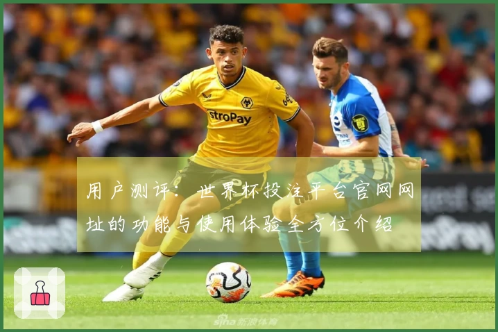 用户测评：世界杯投注平台官网网址的功能与使用体验全方位介绍