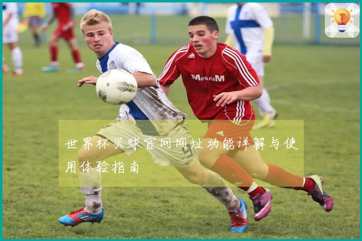世界杯买球官网网址功能详解与使用体验指南