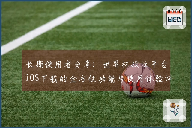 长期使用者分享：世界杯投注平台iOS下载的全方位功能与使用体验评测