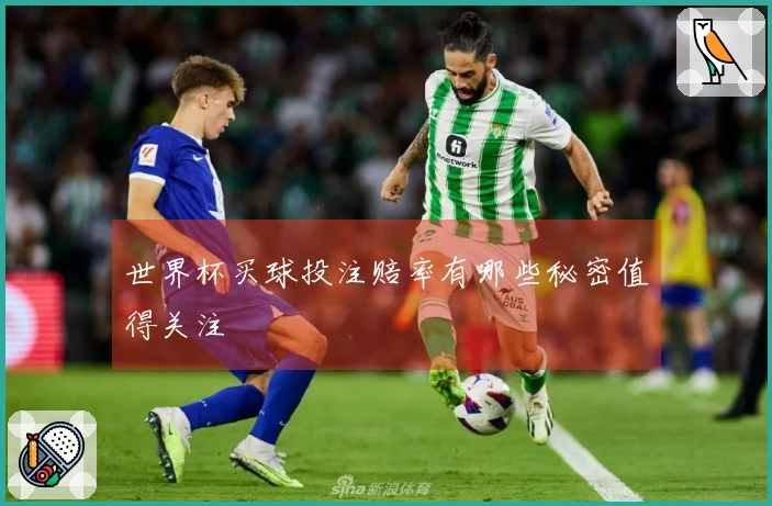 世界杯买球投注赔率有哪些秘密值得关注