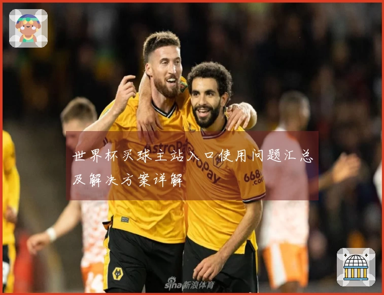 世界杯买球主站入口使用问题汇总及解决方案详解