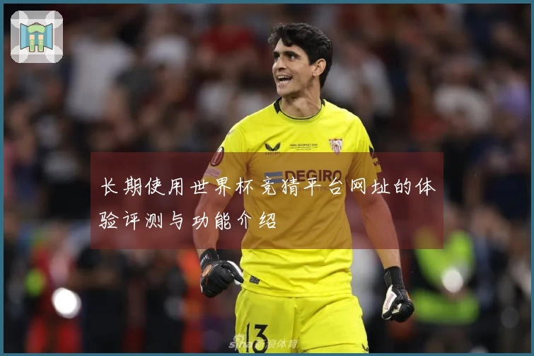 长期使用世界杯竞猜平台网址的体验评测与功能介绍